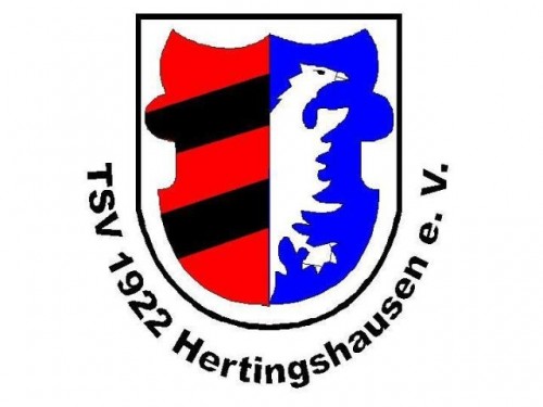Auch am zweiten Wochenende nur ein Punkt für TSV Teams