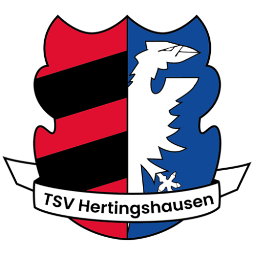 Testspiele für unsere Seniorenteams am Samstag