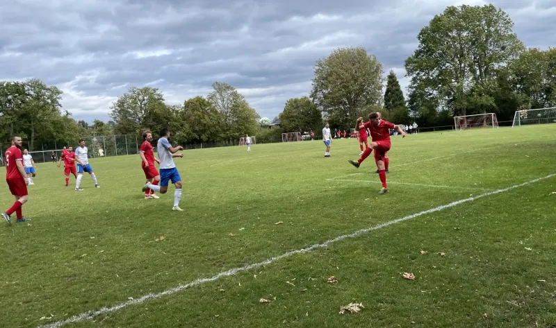 Pokalaus gegen effiziente Wölfe