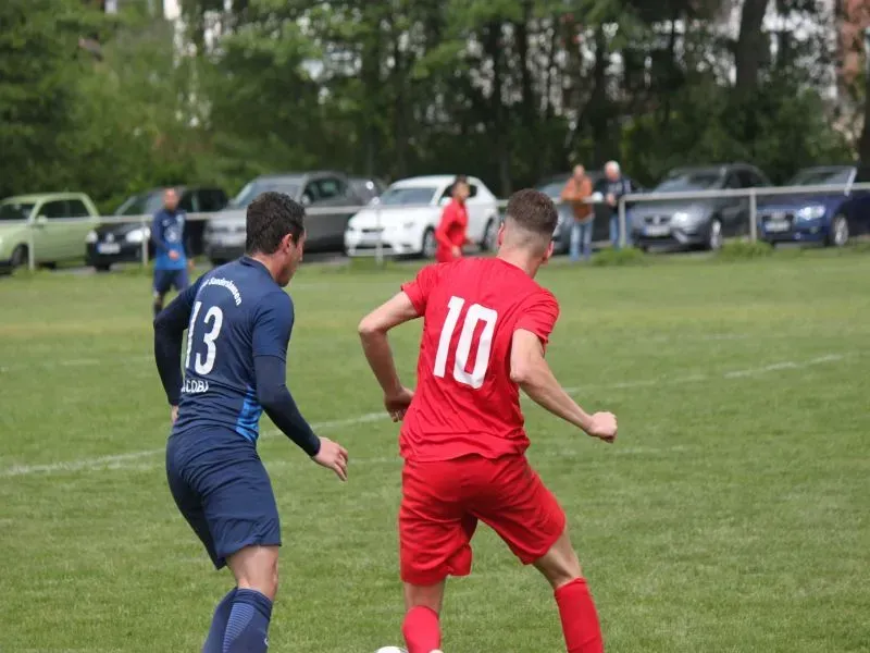 Drei Heimspiele im Sportpark: TSV-Teams vor spannendem Wochenende