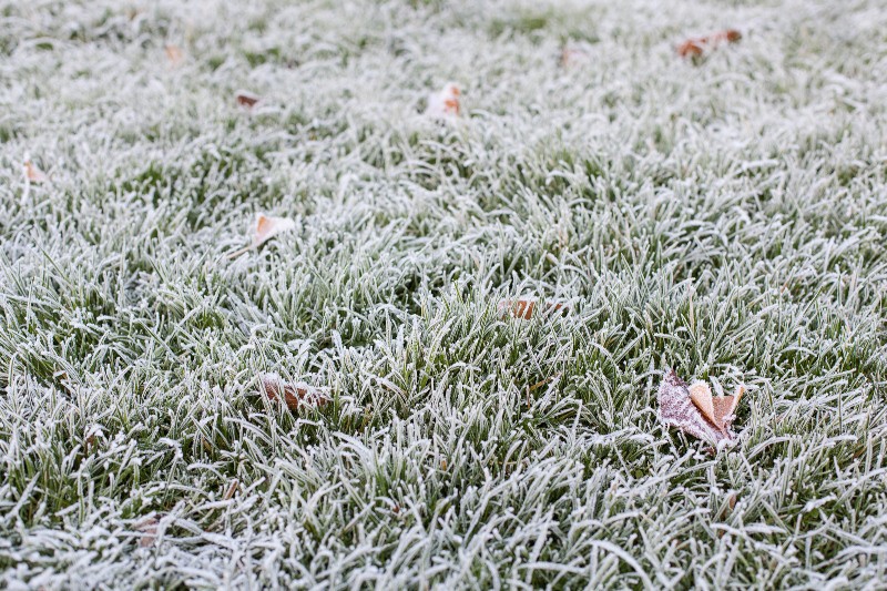 Test gegen FSV Bergshausen ist abgesagt!