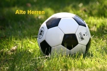 Nur Alt Herren- Team im Einsatz