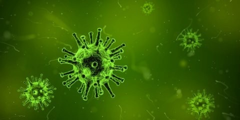 Coronavirus stoppt Heimspiele gegen Homberg und Windrad