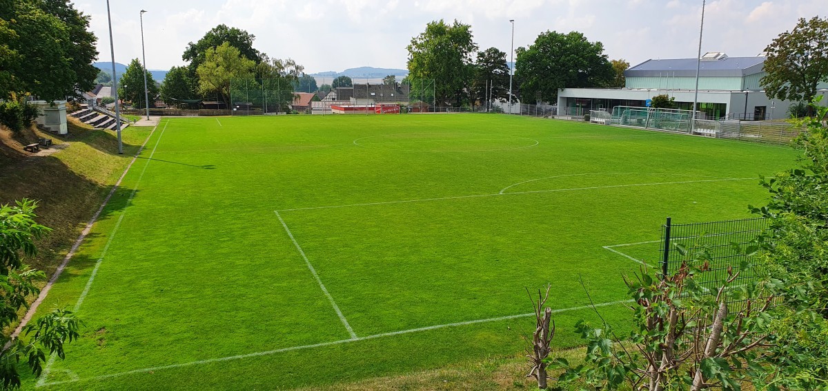 "Erste" siegt im internen Test