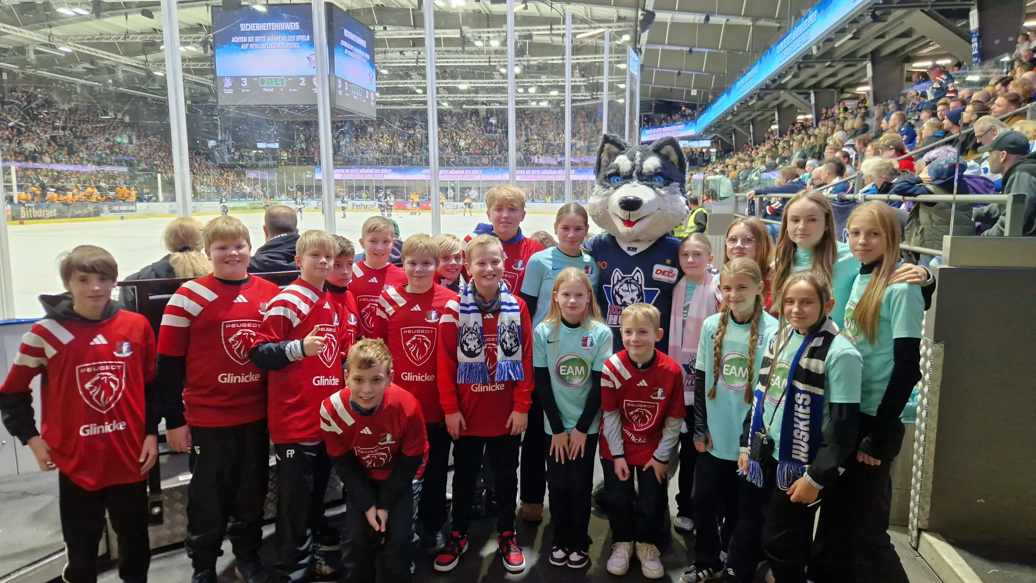 TSV D-Jugend meets Huskies