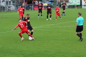 Letzter Spieltag: TSV will Saison erfolgreich abschließen
