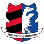TSV zeigt sich als guter Gastgeber bei der Regionalmeisterschaft für D-Junioren