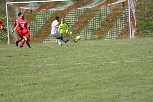 Testspiel TSV Hertingshausen : FC Overberge