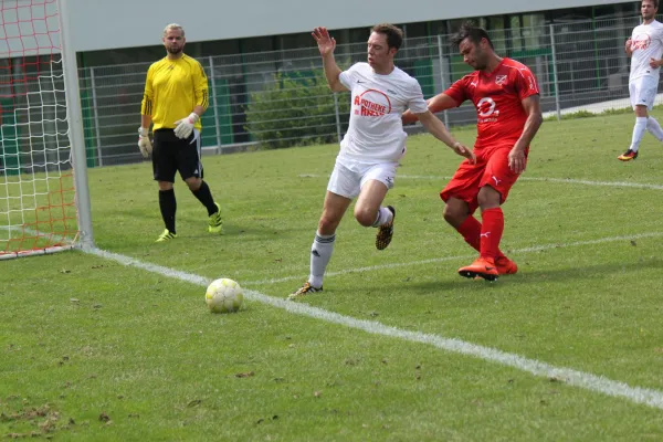 Testspiel TSV Hertingshausen : FC Overberge