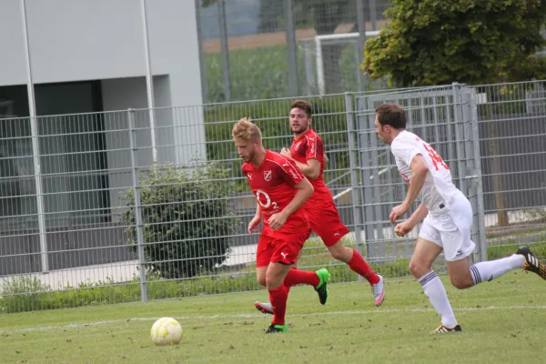 Testspiel TSV Hertingshausen : FC Overberge