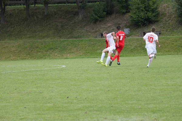 Testspiel TSV Hertingshausen : FC Overberge