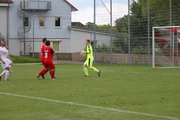 Testspiel TSV Hertingshausen : FC Overberge