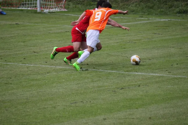 Kreispokal TSV Hertingshausen : SV Türkgücü