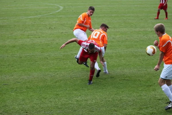 Kreispokal TSV Hertingshausen : SV Türkgücü