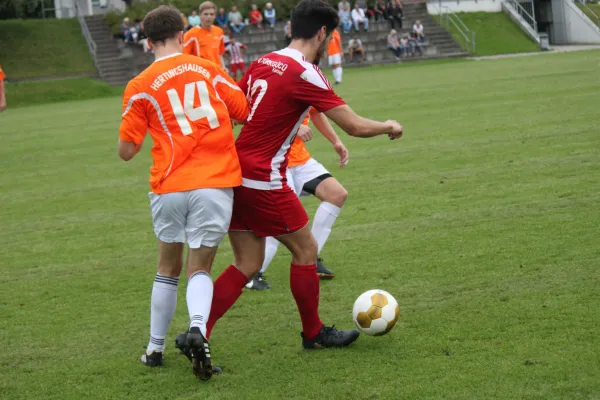 Kreispokal TSV Hertingshausen : SV Türkgücü