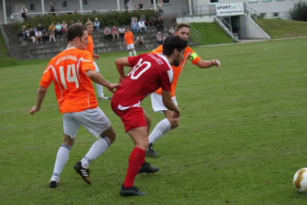 Kreispokal TSV Hertingshausen : SV Türkgücü