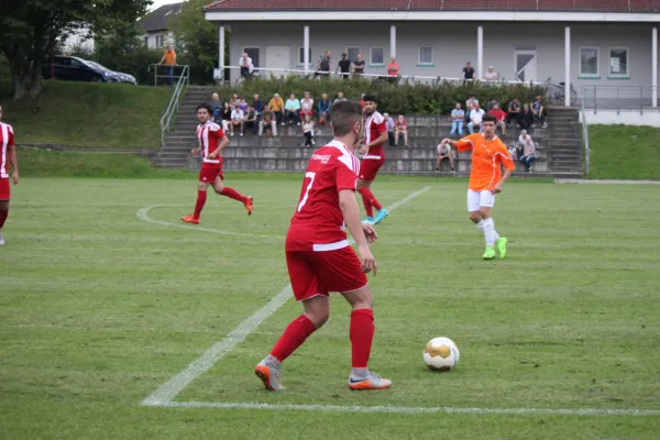 Kreispokal TSV Hertingshausen : SV Türkgücü