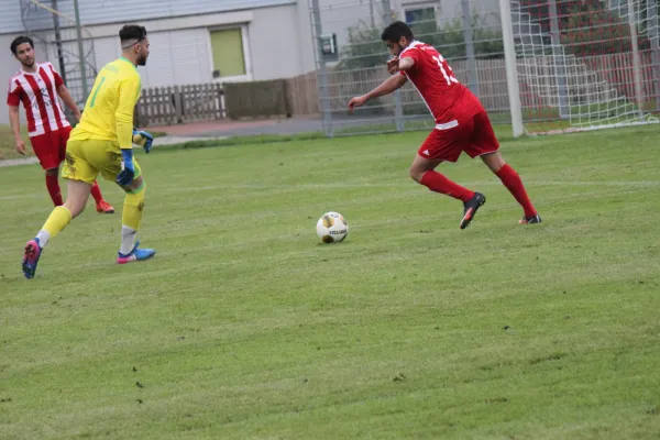 Kreispokal TSV Hertingshausen : SV Türkgücü