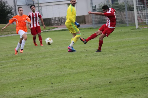 Kreispokal TSV Hertingshausen : SV Türkgücü