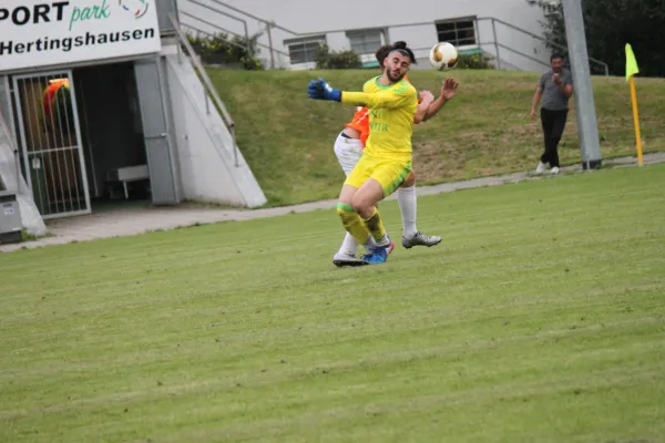 Kreispokal TSV Hertingshausen : SV Türkgücü