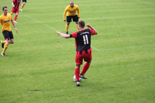 TSV Hertingshausen : Fortuna Kassel