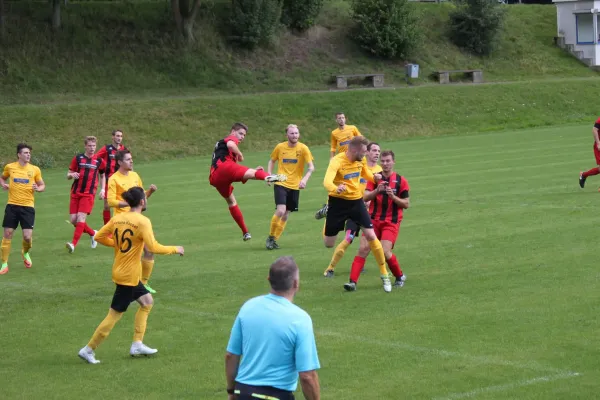 TSV Hertingshausen : Fortuna Kassel