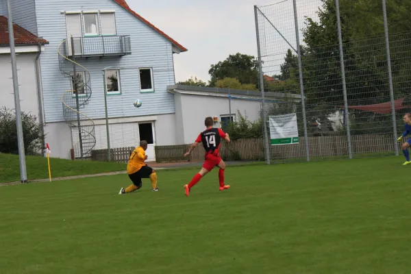 TSV Hertingshausen : Fortuna Kassel