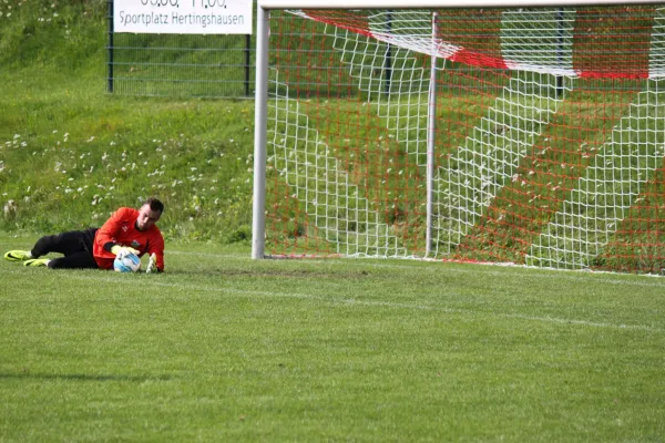 TSV Hertingshausen : BC Sport