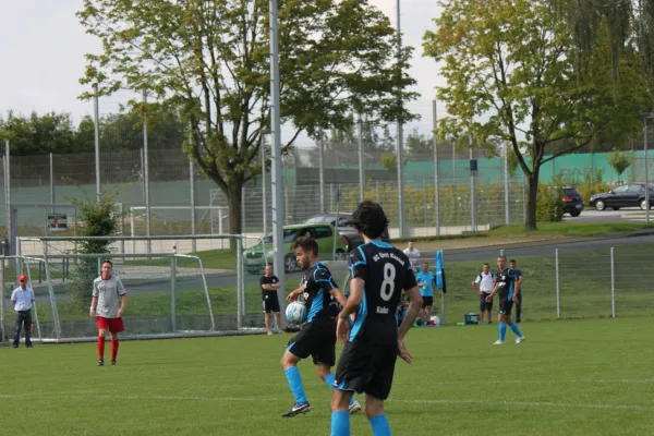 TSV Hertingshausen : BC Sport