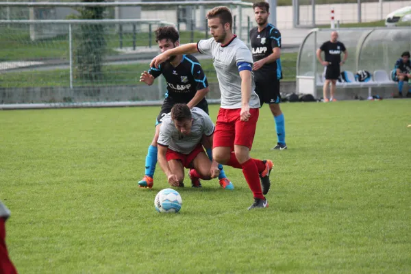 TSV Hertingshausen : BC Sport