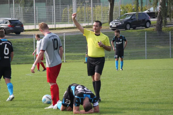 TSV Hertingshausen : BC Sport