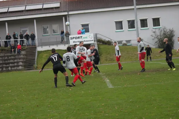 TSV Hertingshausen _ VFL Kassel