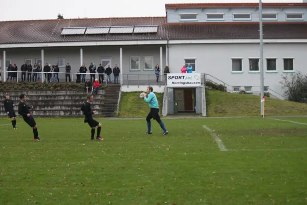 TSV Hertingshausen _ VFL Kassel