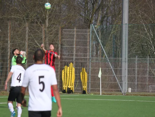 TSV Hertingshausen : TSG Wilhelmshöhe