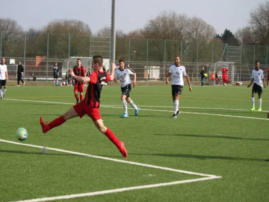 TSV Hertingshausen : TSG Wilhelmshöhe