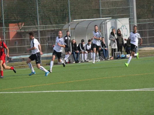 TSV Hertingshausen : TSG Wilhelmshöhe