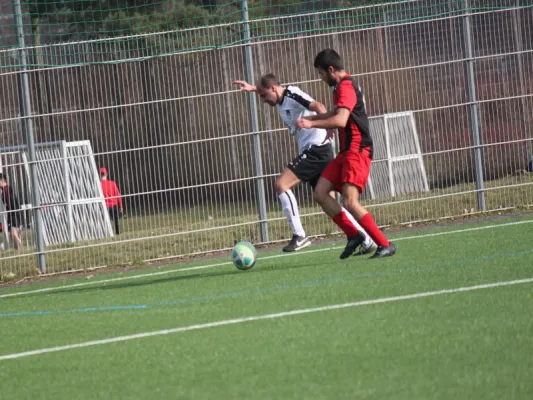 TSV Hertingshausen : TSG Wilhelmshöhe