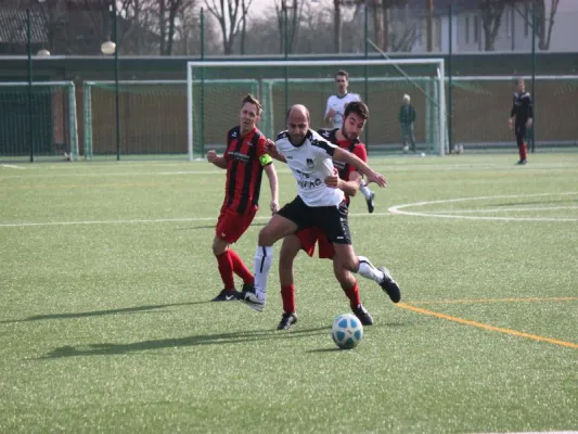 TSV Hertingshausen : TSG Wilhelmshöhe