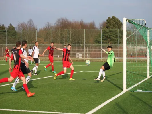 TSV Hertingshausen : TSG Wilhelmshöhe