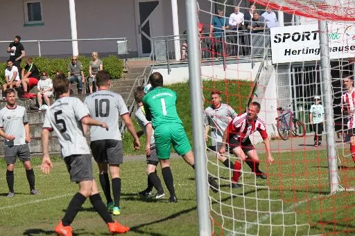 TSV Hertingshausen : TSG Wellerode