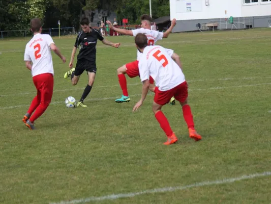 VFL Kassel : TSV Hertingshausen