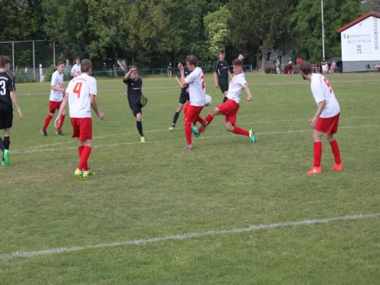 VFL Kassel : TSV Hertingshausen