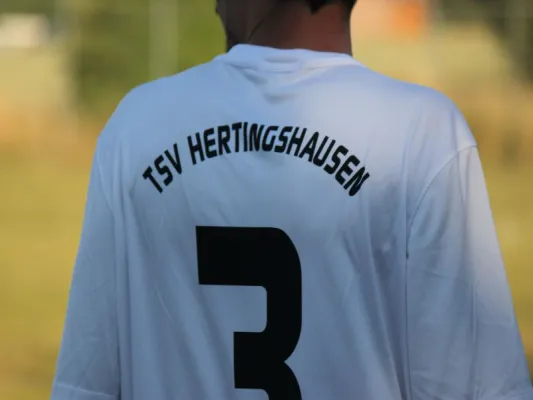 FSG Gudensberg II : TSV Hertingshausen II