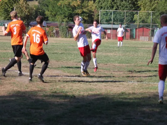 SVH Kassel  vs. TSV Hertingshausen