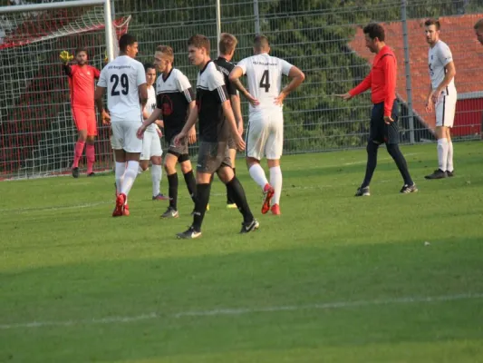 TSV Hertingshausen : FSV Bergshausen- Pokal