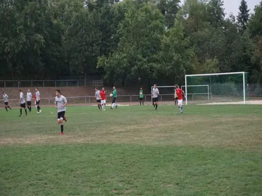 TSG Wilhelmshöhe vs. TSV Hertingshausen