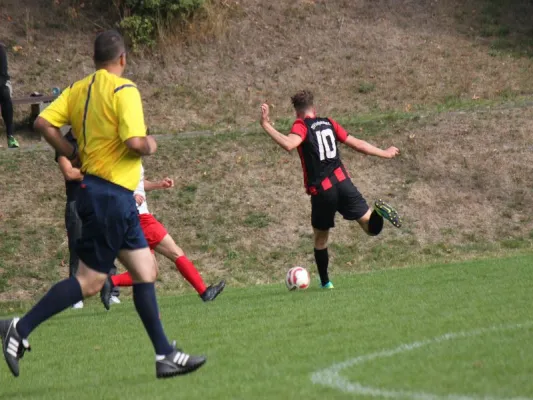 TSV Hertingshausen vs. CSC 03 Kassel II