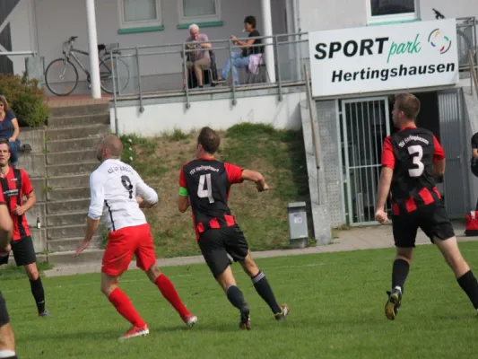 TSV Hertingshausen vs. CSC 03 Kassel II