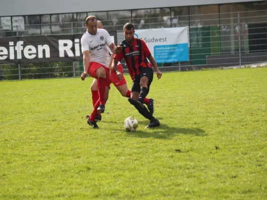 TSV Hertingshausen vs. CSC 03 Kassel II