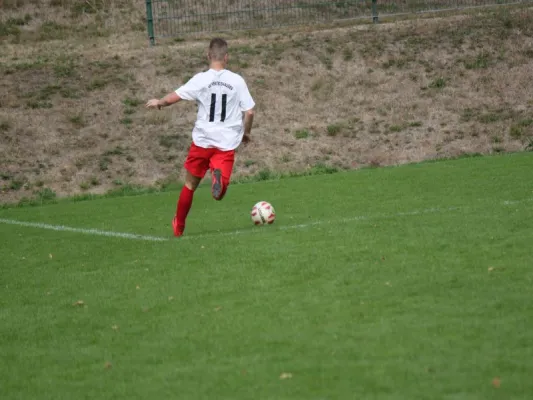 TSV Hertingshausen II vs. FSV Vollmarshausen II